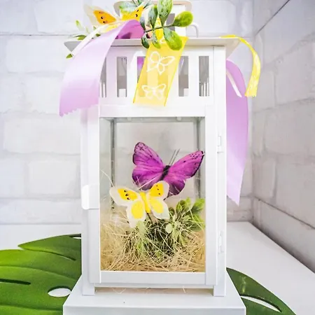 Apartamento Mariposa En Frontera/primavera