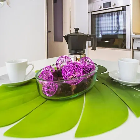 Mariposa En Frontera/primavera Apartamento