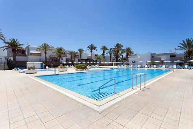 Mariposa En Frontera/primavera *