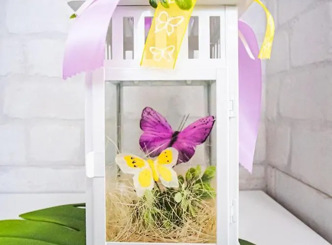 Appartamento Mariposa En Frontera/primavera