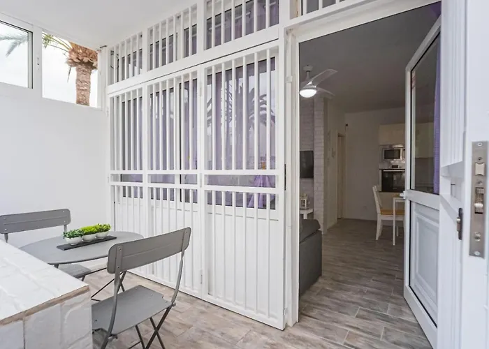 Mariposa En Frontera/primavera *