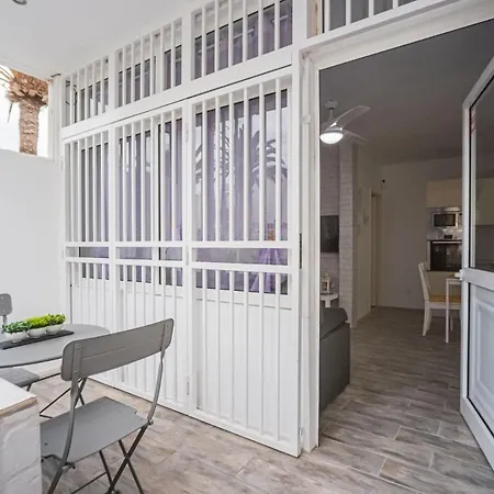 Mariposa En Frontera/primavera *