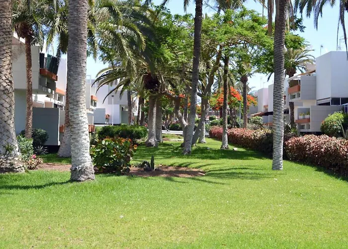 Mariposa En Frontera/primavera Appartement *