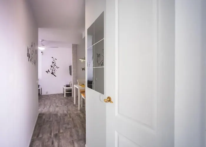 Mariposa En Frontera/primavera Costa Del Silencio