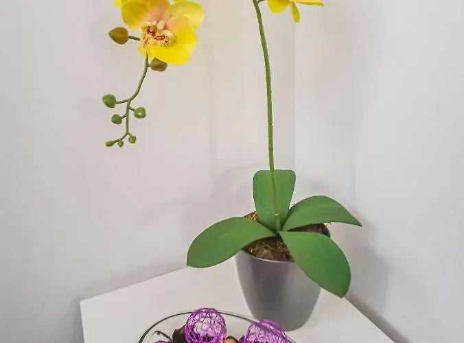 Mariposa En Frontera/primavera Appartement Costa Del Silencio